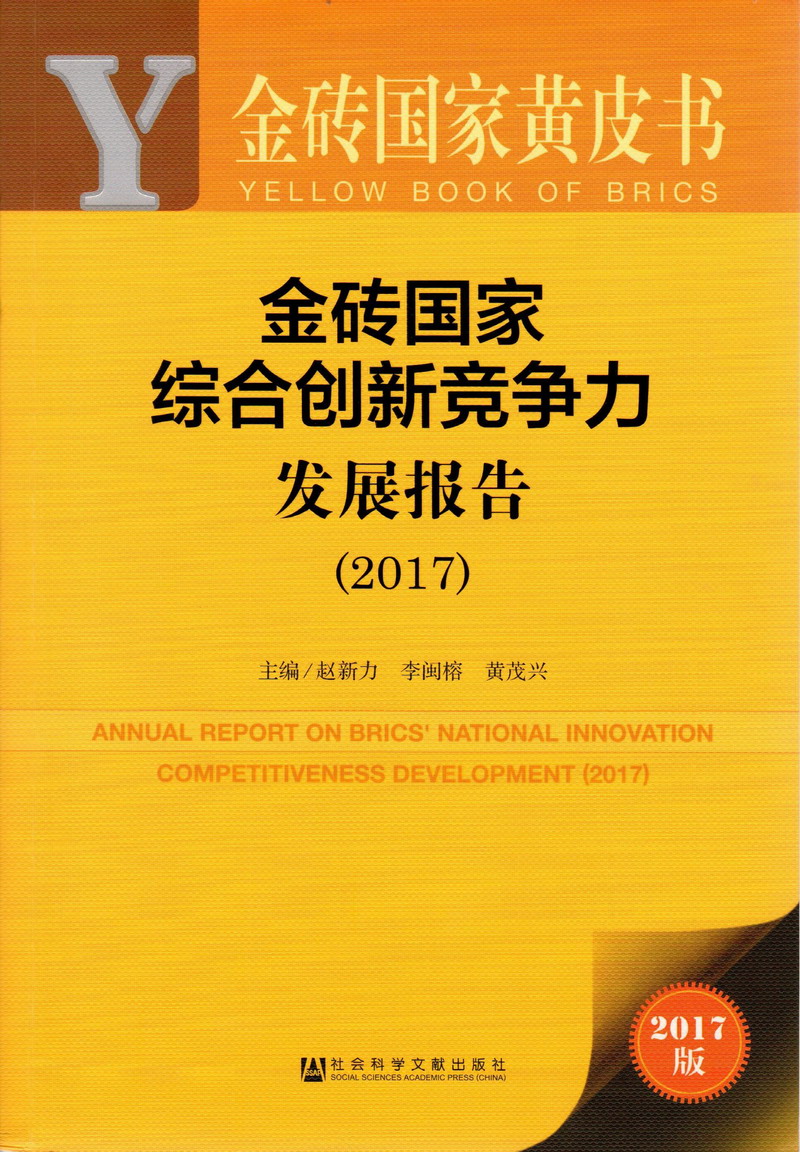 操比视屏网站金砖国家综合创新竞争力发展报告（2017）